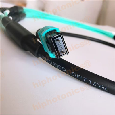 Armored mpo fiber patch cord